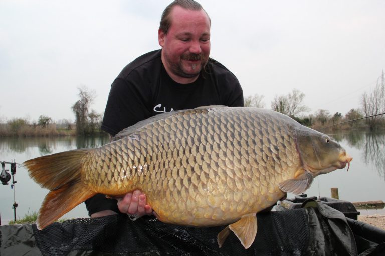28,6kg